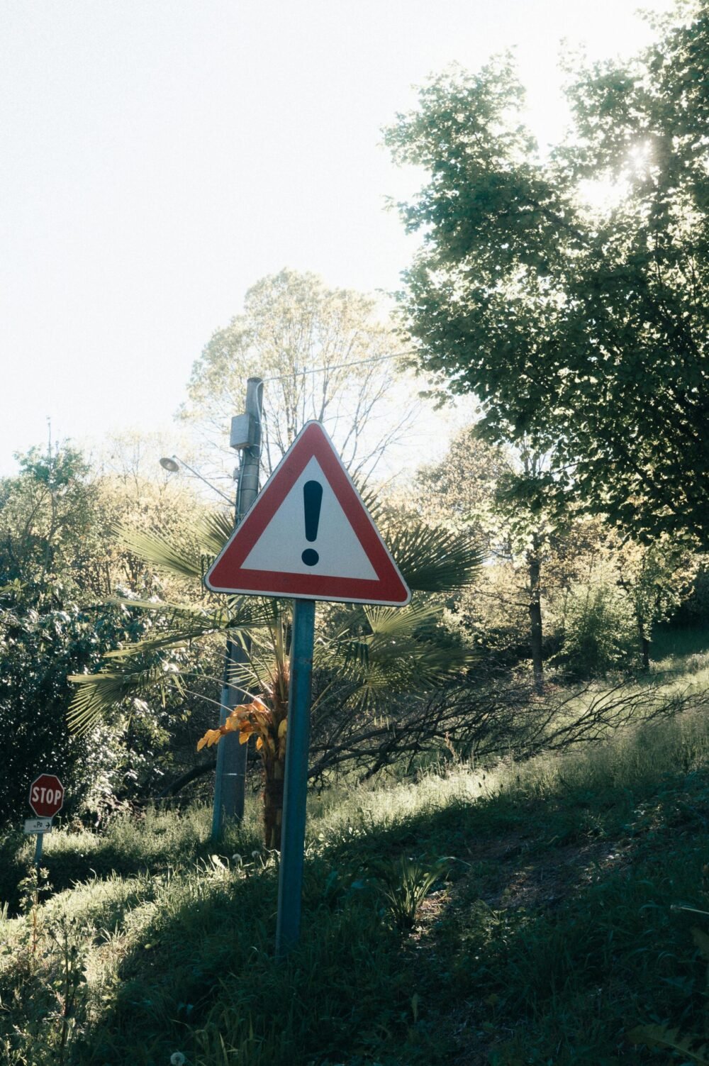 A warning sign amidst a verdant landscape highlights caution in a natural setting.